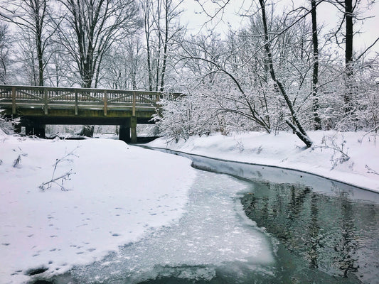 When the World Freezes, So Do We—And That’s Not a Bad Thing