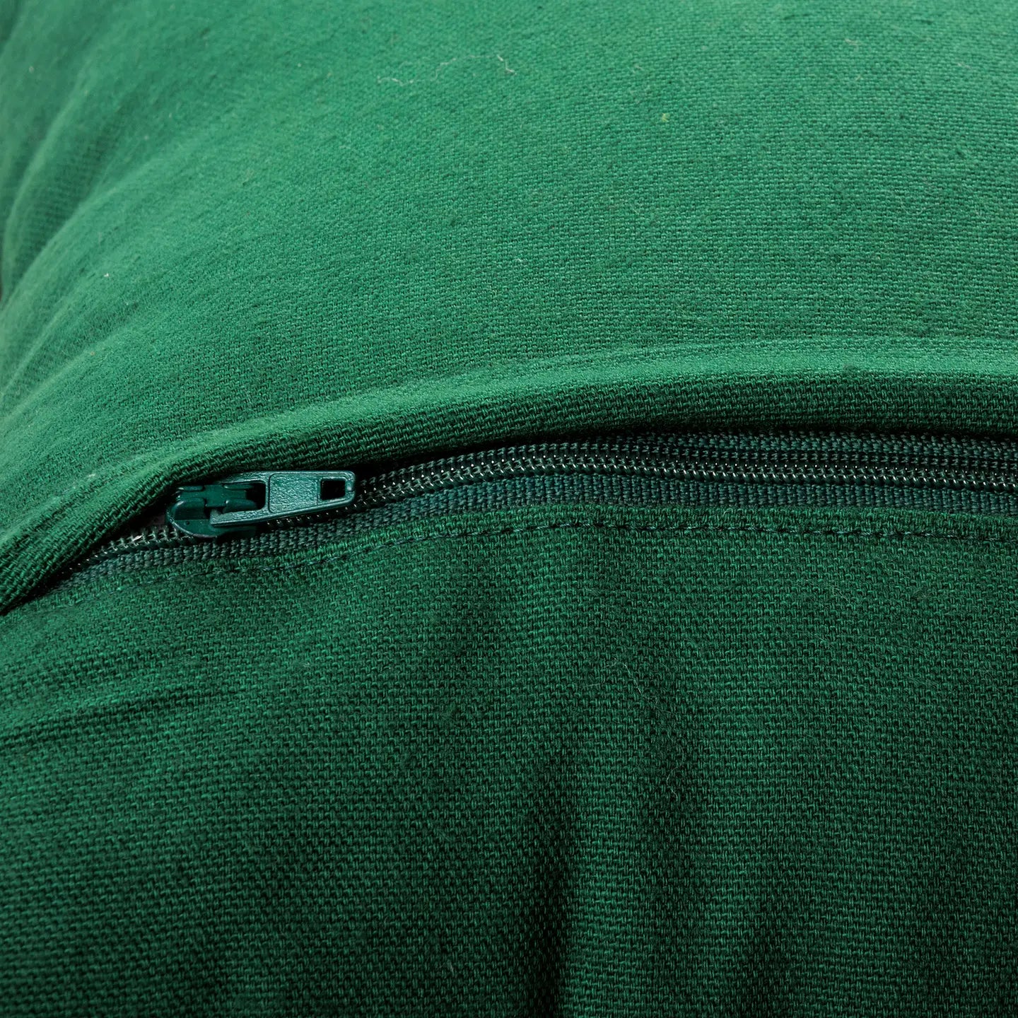 Wild and Free Pillow